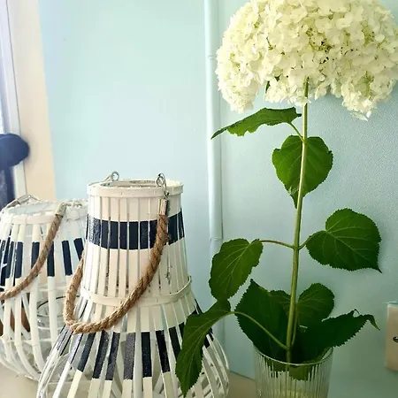 Mierzeja Feriepark Drewnica