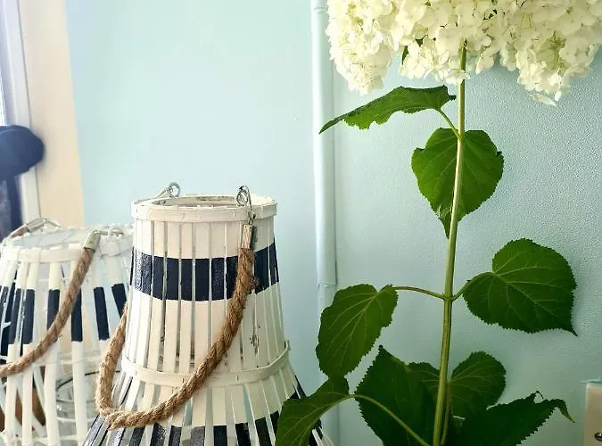 Mierzeja Village de vacances Drewnica